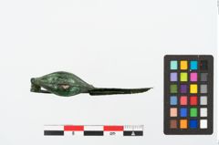 Foto von Bronzekahnfibel (NHMW-PRAE-025502)